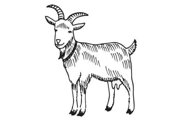 Download Goat Sketch. Hand Drawn Farm Mammal Anim - Mammal Collection