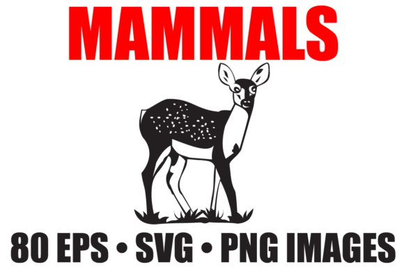 Download Mammal Animals Vector Collection - Premium Resources